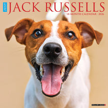 Load image into Gallery viewer, Willow Creek Jack Russells 2026 12&quot; x 12&quot; Wall Calendar
