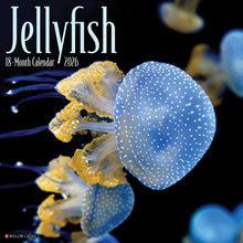 Load image into Gallery viewer, Willow Creek Jellyfish 2026 12&quot; x 12&quot; Wall Calendar
