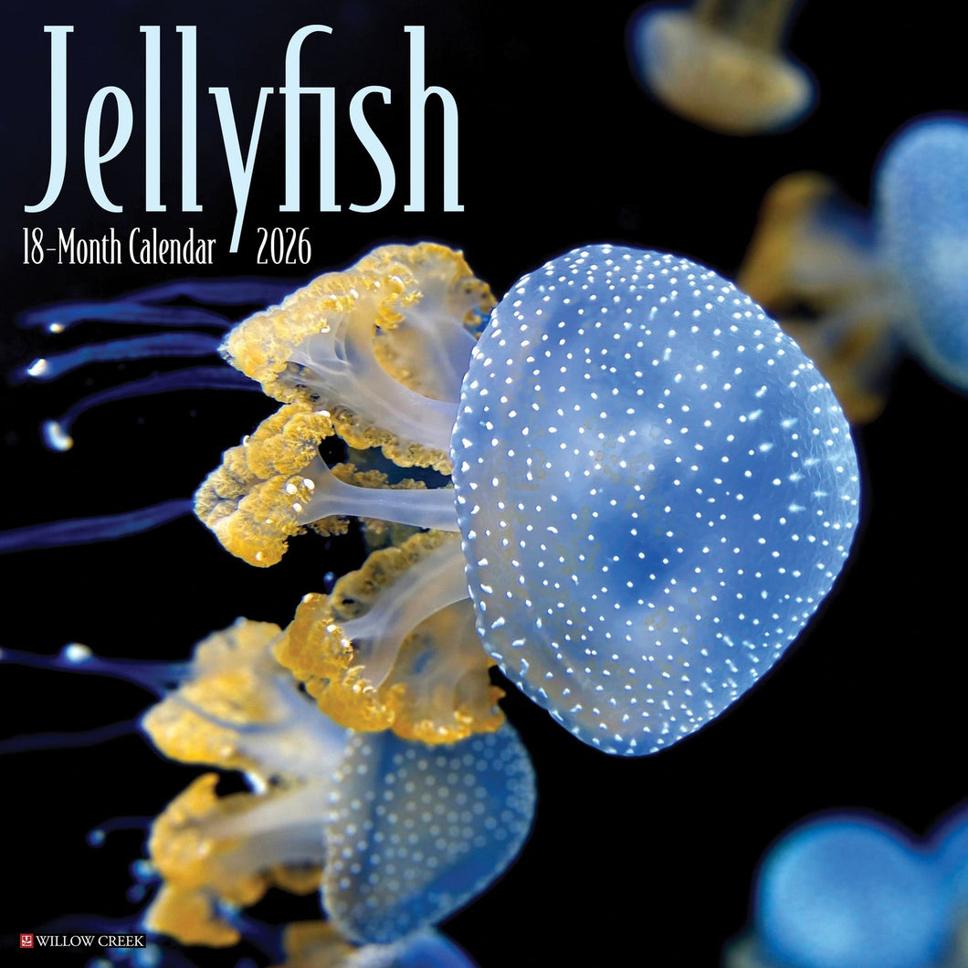 Willow Creek Jellyfish 2026 12