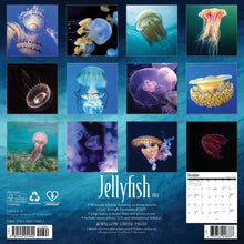Load image into Gallery viewer, Willow Creek Jellyfish 2026 12&quot; x 12&quot; Wall Calendar
