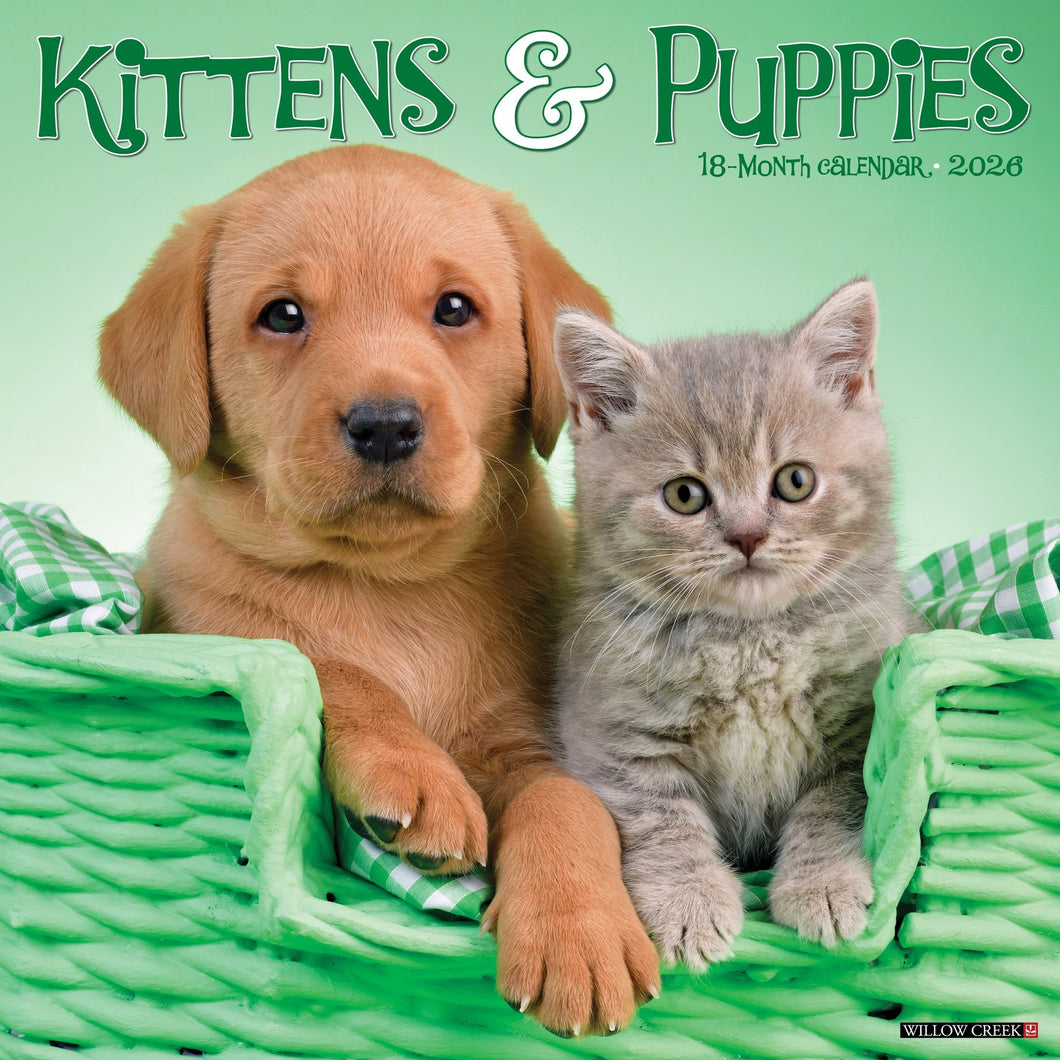 Willow Creek Kittens & Puppies 2026 12
