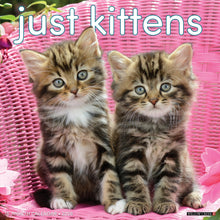 Load image into Gallery viewer, Willow Creek Kittens 2026 12&quot; x 12&quot; Wall Calendar
