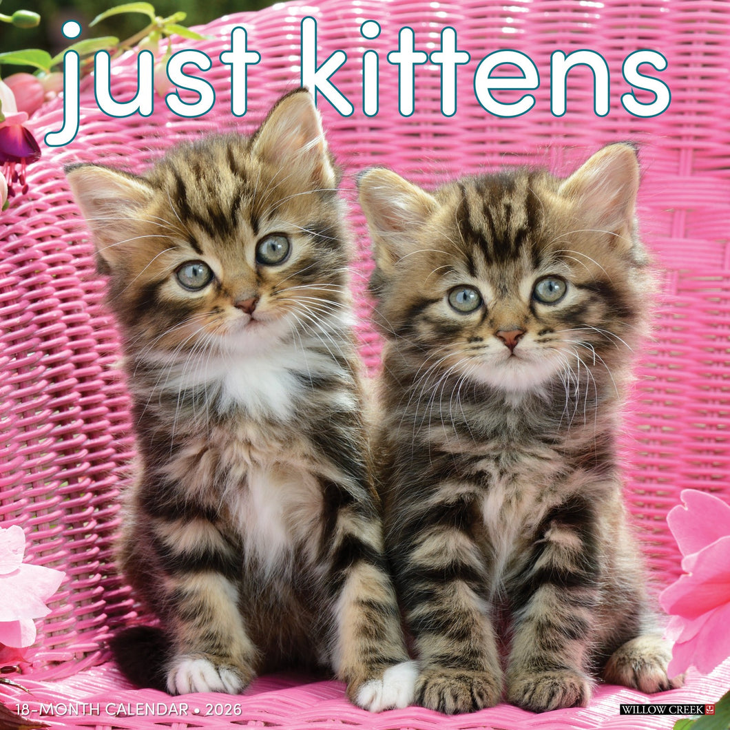 Willow Creek Kittens 2026 12