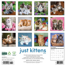 Load image into Gallery viewer, Willow Creek Kittens 2026 12&quot; x 12&quot; Wall Calendar
