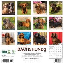 Load image into Gallery viewer, Willow Creek Longhaired Dachshunds 2026 12&quot; x 12&quot; Wall Calendar
