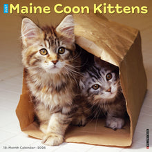 Load image into Gallery viewer, Willow Creek Maine Coon Kittens 2026 12&quot; x 12&quot; Wall Calendar
