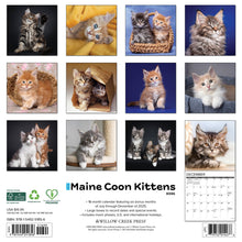 Load image into Gallery viewer, Willow Creek Maine Coon Kittens 2026 12&quot; x 12&quot; Wall Calendar
