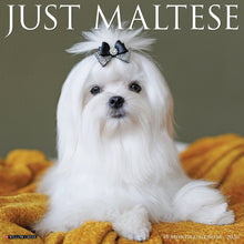 Load image into Gallery viewer, Willow Creek Maltese 2026 12&quot; x 12&quot; Wall Calendar

