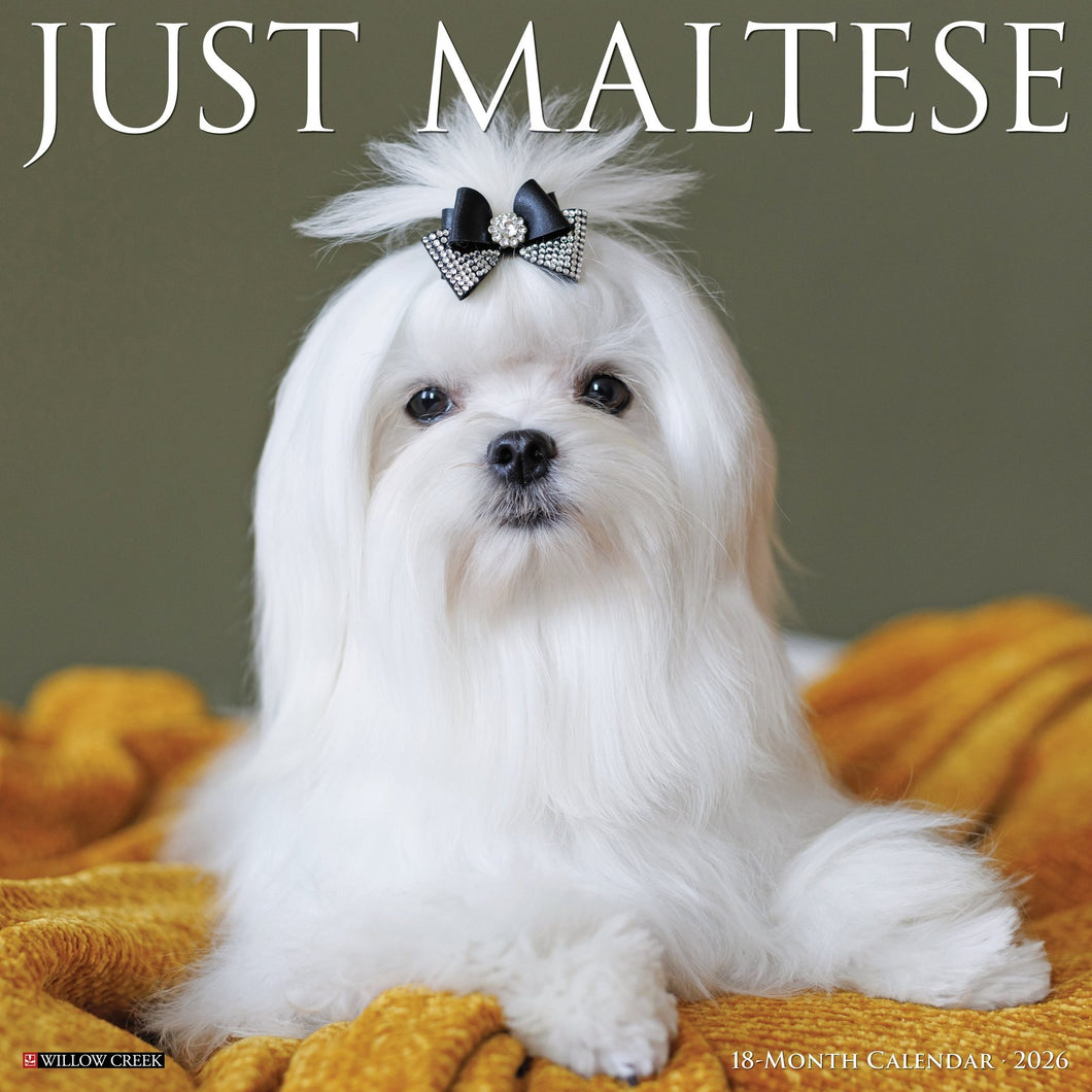 Willow Creek Maltese 2026 12