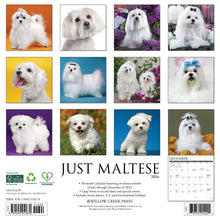 Load image into Gallery viewer, Willow Creek Maltese 2026 12&quot; x 12&quot; Wall Calendar
