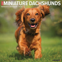 Load image into Gallery viewer, Willow Creek Miniature Dachshunds 2026 12&quot; x 12&quot; Wall Calendar
