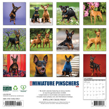 Load image into Gallery viewer, Willow Creek Miniature Pinschers 2026 12&quot; x 12&quot; Wall Calendar
