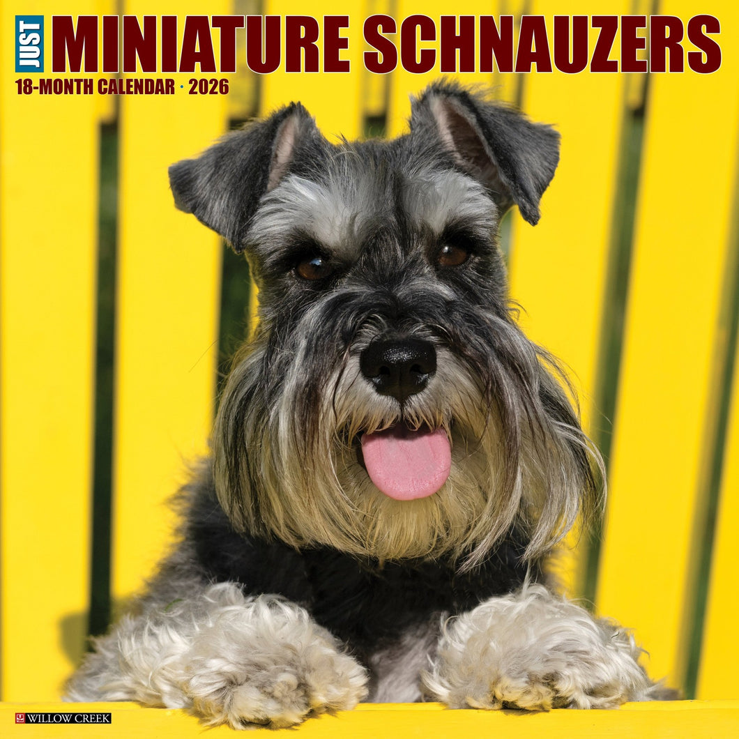 Willow Creek Miniature Schnauzers 2026 12