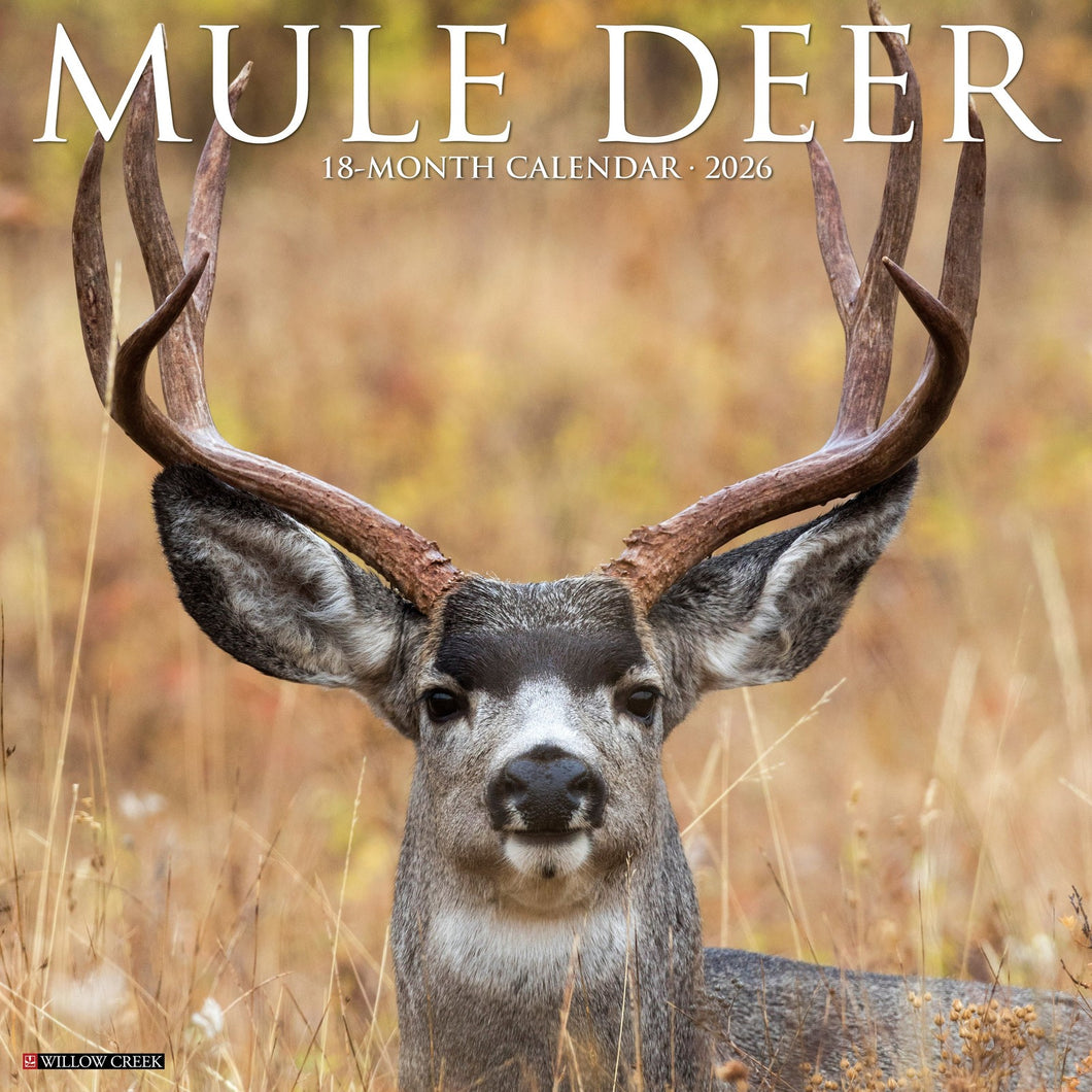 Willow Creek Mule Deer 2026 12