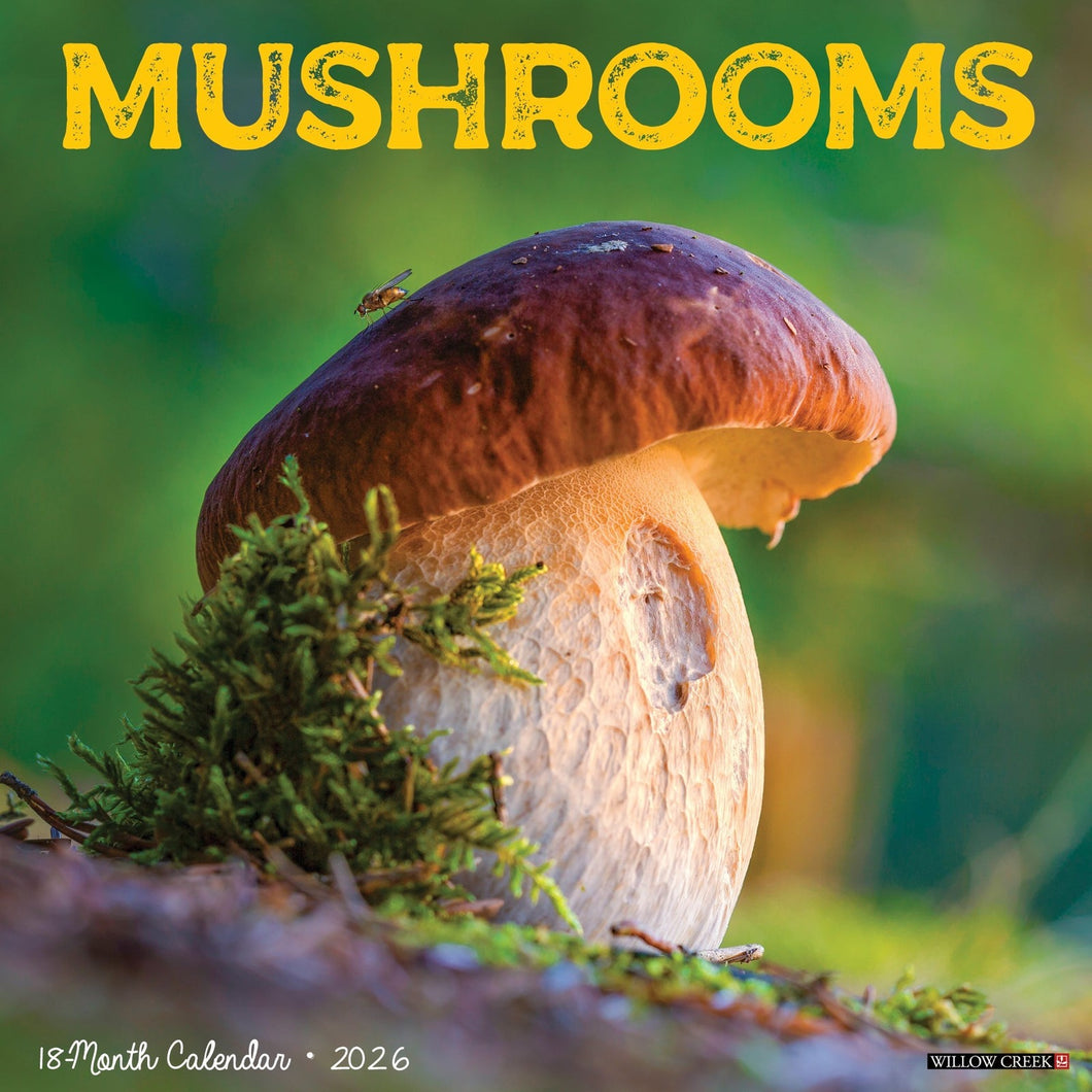 Willow Creek Mushrooms 2026 12