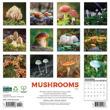 Load image into Gallery viewer, Willow Creek Mushrooms 2026 12&quot; x 12&quot; Wall Calendar
