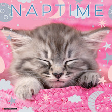 Load image into Gallery viewer, Willow Creek Naptime: A Cat&#39;s Favorite Pastime 2026 12&quot; x 12&quot; Wall Calendar

