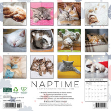 Load image into Gallery viewer, Willow Creek Naptime: A Cat&#39;s Favorite Pastime 2026 12&quot; x 12&quot; Wall Calendar
