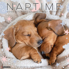Load image into Gallery viewer, Willow Creek Naptime: Dogs &amp; Puppies 2026 12&quot; x 12&quot; Wall Calendar
