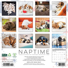 Load image into Gallery viewer, Willow Creek Naptime: Dogs &amp; Puppies 2026 12&quot; x 12&quot; Wall Calendar
