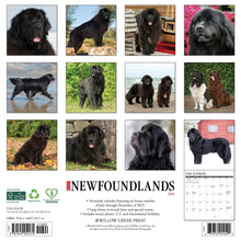 Load image into Gallery viewer, Willow Creek Newfoundlands 2026 12&quot; x 12&quot; Wall Calendar
