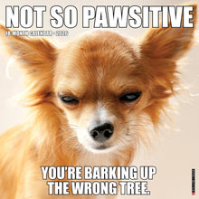 Load image into Gallery viewer, Willow Creek Not So Pawsitive 2026 12&quot; x 12&quot; Wall Calendar
