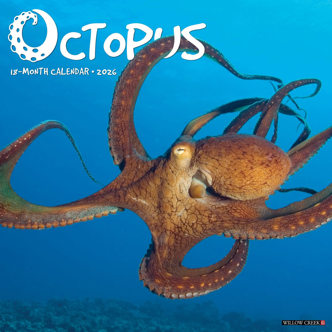 Willow Creek Octopus 2026 12