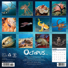 Load image into Gallery viewer, Willow Creek Octopus 2026 12&quot; x 12&quot; Wall Calendar
