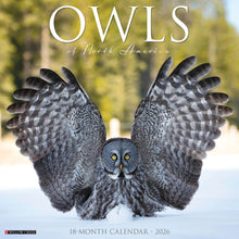 Load image into Gallery viewer, Willow Creek Owls 2026 12&quot; x 12&quot; Wall Calendar
