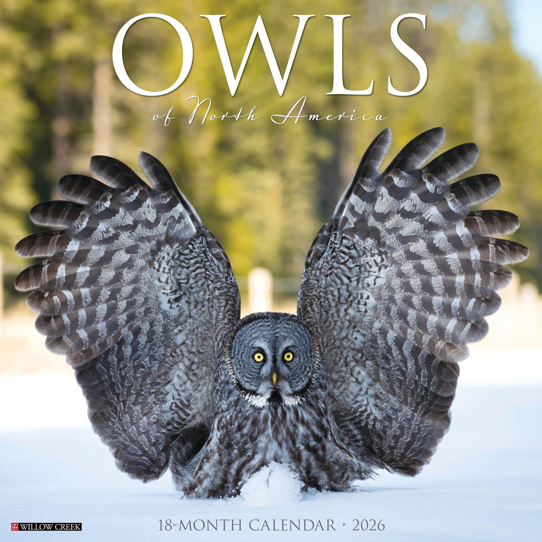Willow Creek Owls 2026 12