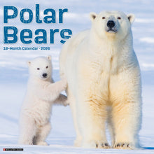 Load image into Gallery viewer, Willow Creek Polar Bears 2026 12&quot; x 12&quot; Wall Calendar
