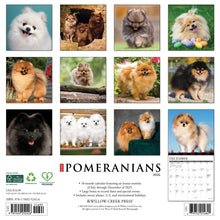 Load image into Gallery viewer, Willow Creek Pomeranians 2026 12&quot; x 12&quot; Wall Calendar

