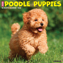 Load image into Gallery viewer, Willow Creek Poodle Puppies 2026 12&quot; x 12&quot; Wall Calendar
