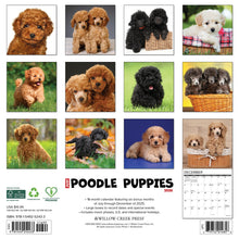 Load image into Gallery viewer, Willow Creek Poodle Puppies 2026 12&quot; x 12&quot; Wall Calendar
