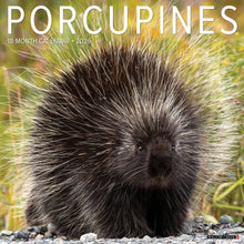 Load image into Gallery viewer, Willow Creek Porcupines 2026 12&quot; x 12&quot; Wall Calendar
