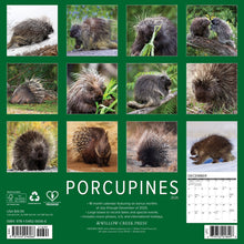 Load image into Gallery viewer, Willow Creek Porcupines 2026 12&quot; x 12&quot; Wall Calendar
