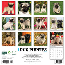 Load image into Gallery viewer, Willow Creek Pug Puppies 2026 12&quot; x 12&quot; Wall Calendar

