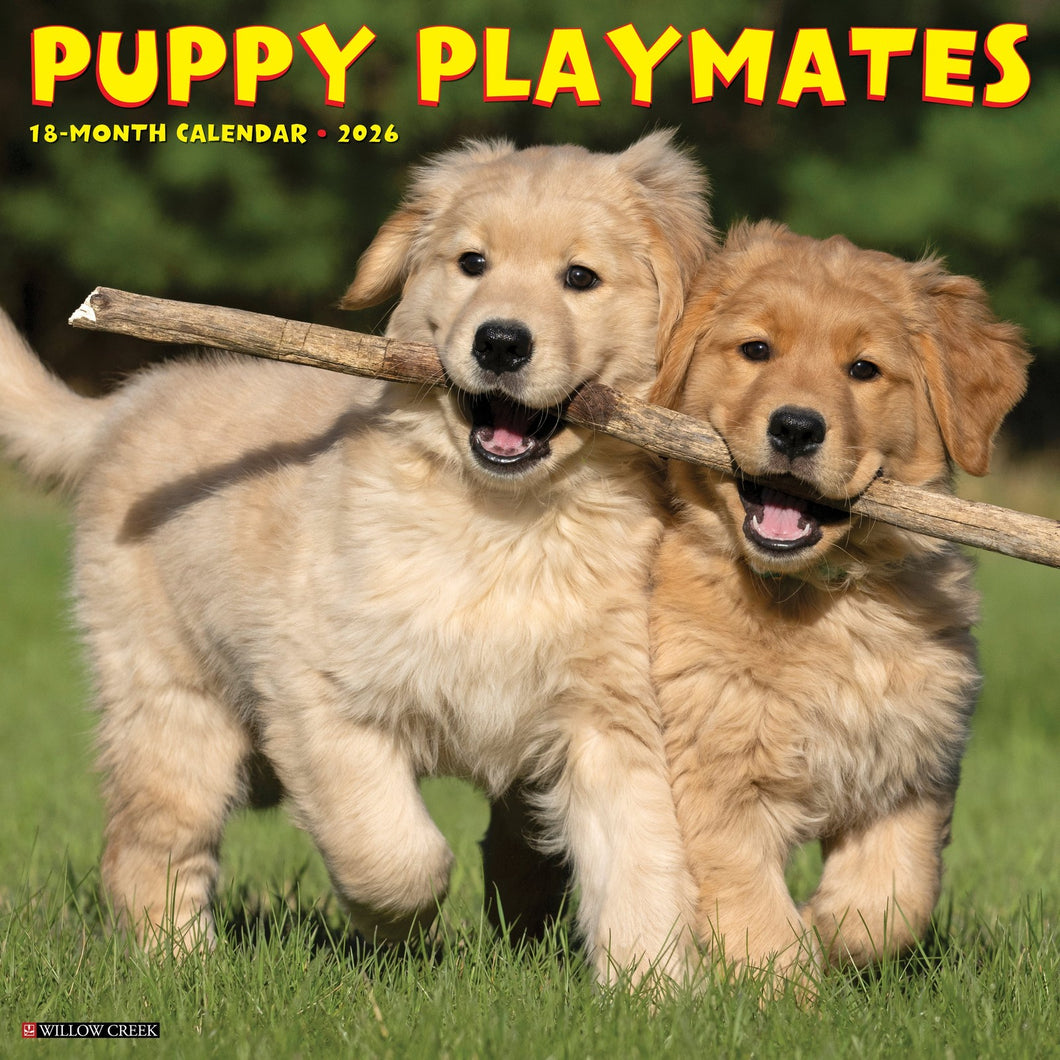 Willow Creek Puppy Playmates 2026 12