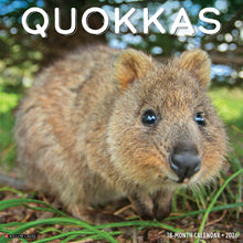 Load image into Gallery viewer, Willow Creek Quokkas 2026 12&quot; x 12&quot; Wall Calendar
