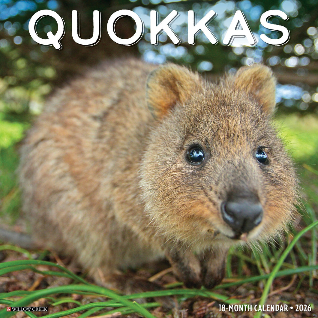 Willow Creek Quokkas 2026 12