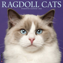 Load image into Gallery viewer, Willow Creek Ragdoll Cats 2026 12&quot; x 12&quot; Wall Calendar
