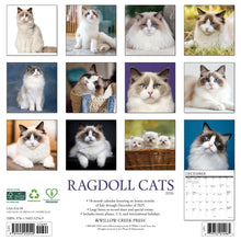 Load image into Gallery viewer, Willow Creek Ragdoll Cats 2026 12&quot; x 12&quot; Wall Calendar
