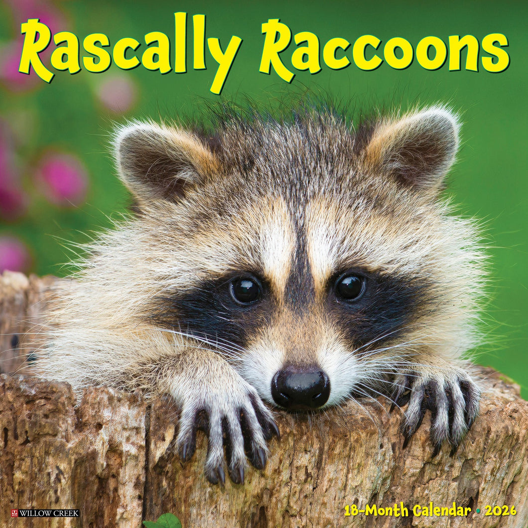 Willow Creek Rascally Raccoons 2026 12