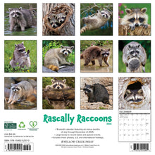 Load image into Gallery viewer, Willow Creek Rascally Raccoons 2026 12&quot; x 12&quot; Wall Calendar

