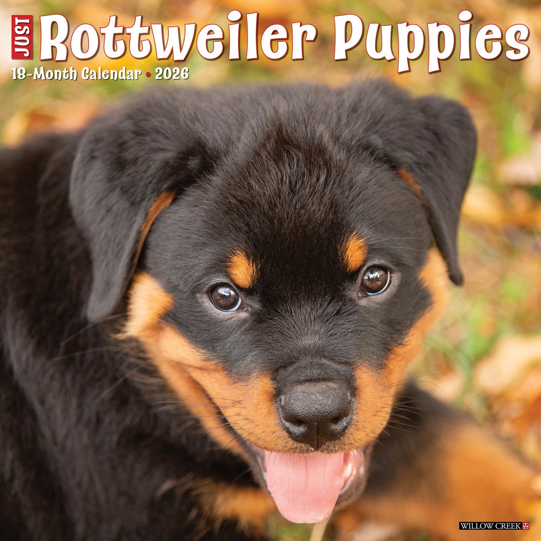 Willow Creek Rottweiler Puppies 2026 12