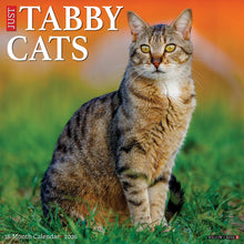 Load image into Gallery viewer, Willow Creek Tabby Cats 2026 12" x 12" Wall Calendar
