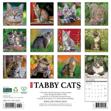 Load image into Gallery viewer, Willow Creek Tabby Cats 2026 12" x 12" Wall Calendar
