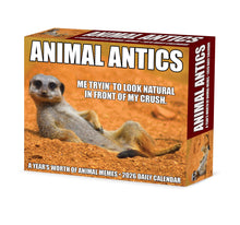 Load image into Gallery viewer, Willow Creek Animal Antics 2026 6.2&quot; x 5.4&quot; Box Calendar
