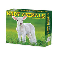 Load image into Gallery viewer, Willow Creek Baby Animals 2026 6.2&quot; x 5.4&quot; Box Calendar
