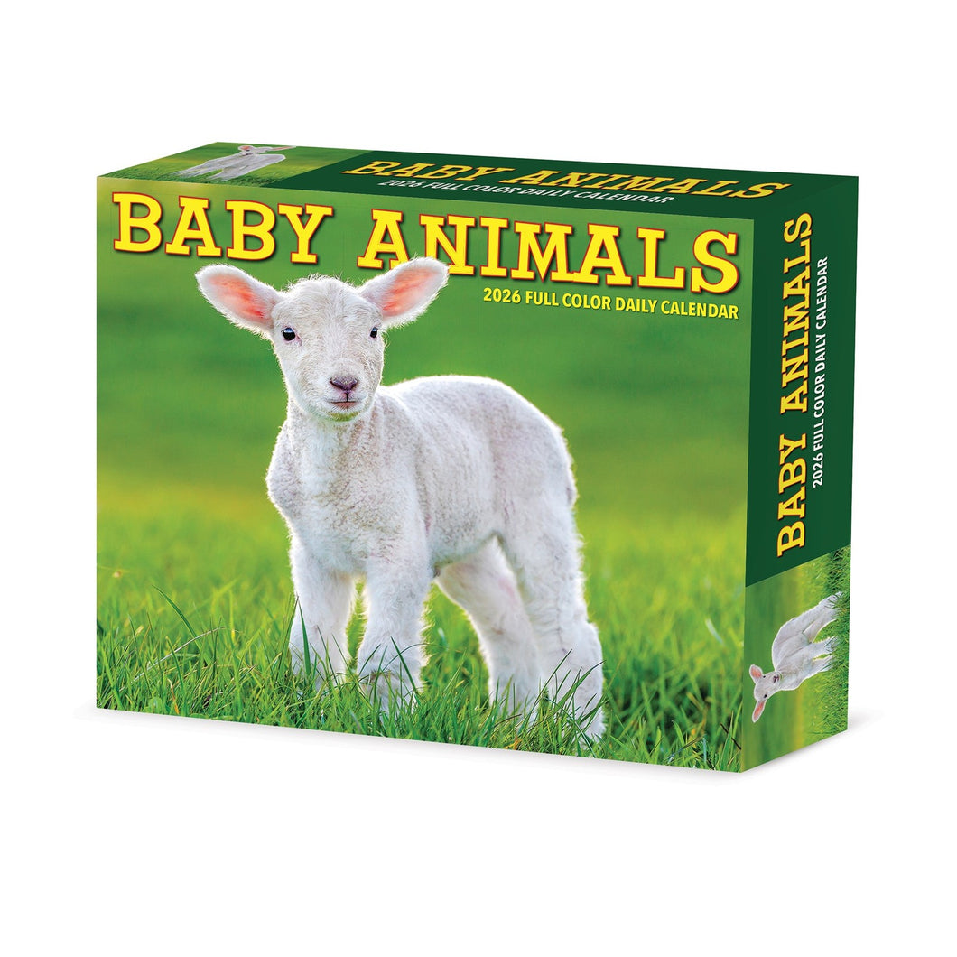 Willow Creek Baby Animals 2026 6.2